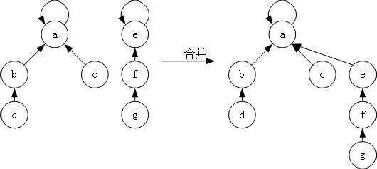 c++初级并查集知识点总结_c++_04