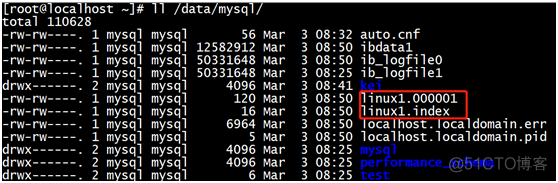 MySQL主从配置_MySQL_03