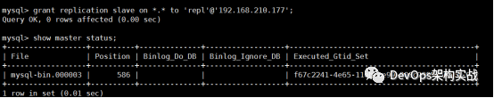 Mysql8.0 主从复制_java_03