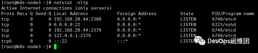 Kubernetes部署etcd集群_java_23