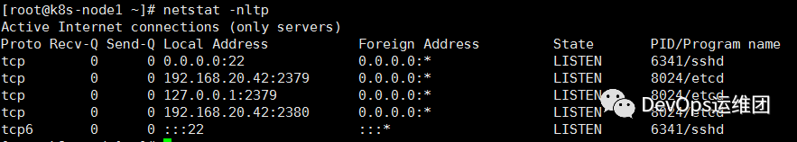 Kubernetes部署etcd集群_java_21