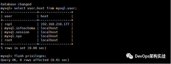 Mysql8.0 主从复制_java_02