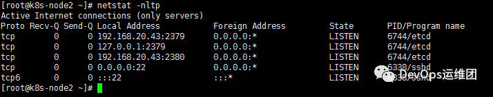 Kubernetes部署etcd集群_java_22