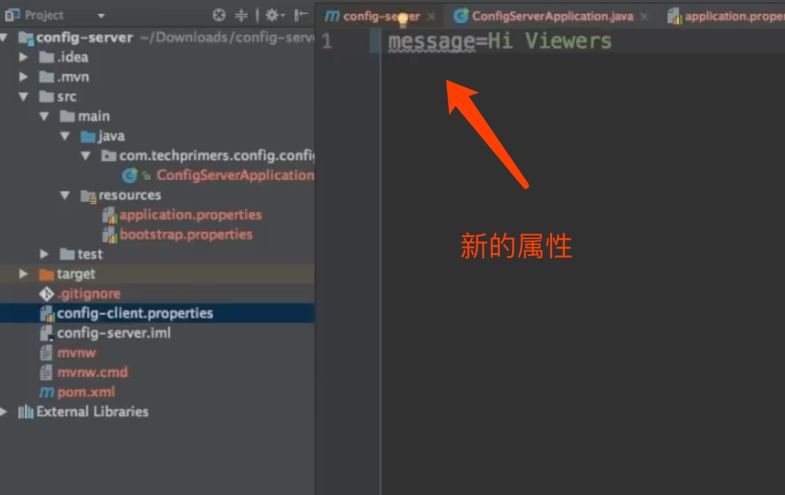 一篇文章带你了解 Spring Cloud Config_java_08