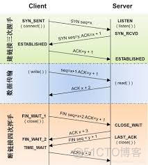 401TCP：TCP连接管理_TCP