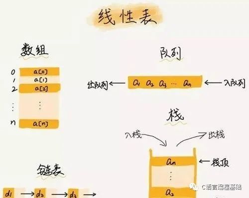 C语言数组基础篇_C语言_10