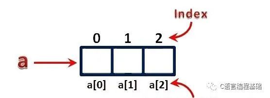 C语言数组基础篇_C语言_08