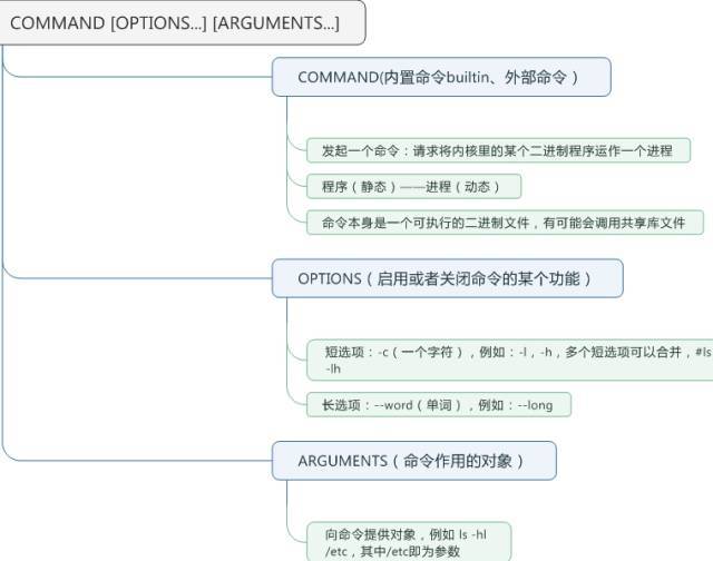 Linux命令的使用格式以及命令帮助信息的获取方式_java