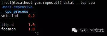 【干货 | 经典】江湖绝技---系统管理中的三大利刃(htop glances dstat)_java_04