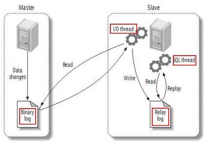 MySQL主从复制架构及原理_java