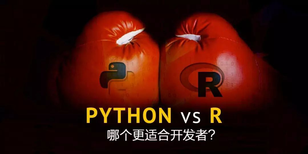 Python VS R，哪个更适合开发者？_java