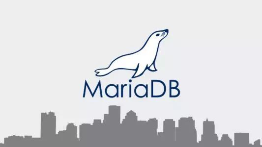 Node实战篇：Nodejs 链接 Mariadb 实例_java