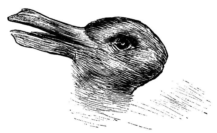 双关图形 兔子图片