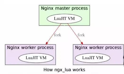 OpenResty搭建高性能服务端_运维