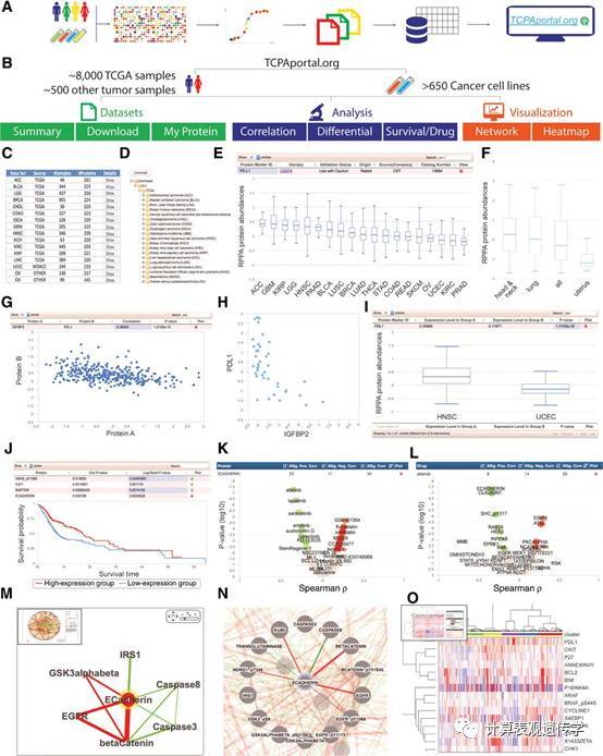 癌症蛋白质分析利器：癌症蛋白质组图谱（TCPA）_Java