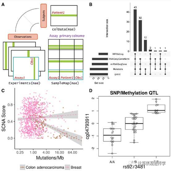 Bioconductor中的一个多组学实验整合软件_Java