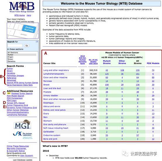 小鼠肿瘤生物学数据库_Java