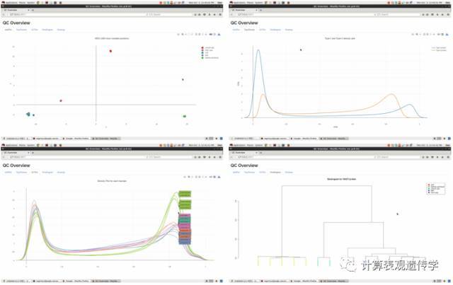 Illumina 850K(EPIC)甲基化芯片及其分析工具ChAMP_Java_02