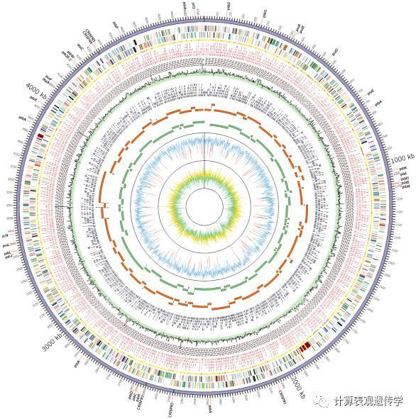 Circos:我其实真的没那么难画!_Java_02