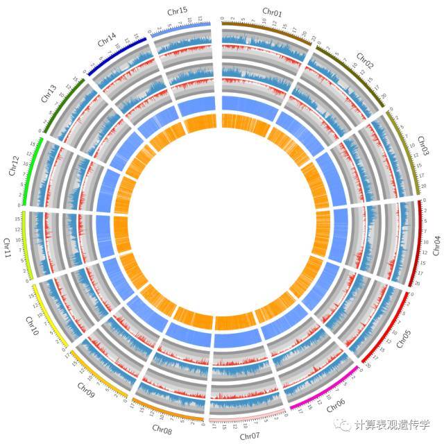 Circos:我其实真的没那么难画!_Java_10