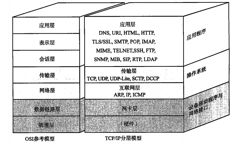 TCP/IP 与 OSI 参考模型_TCP