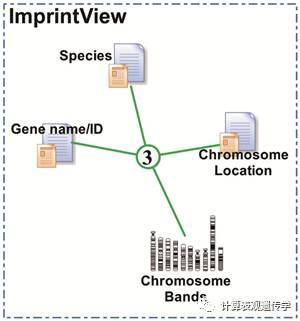 哺乳动物印记基因信息库MetaImprint_Java_09