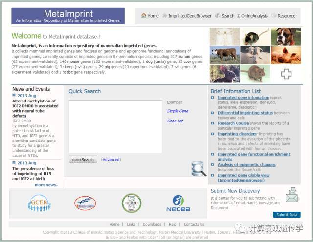 哺乳动物印记基因信息库MetaImprint_Java