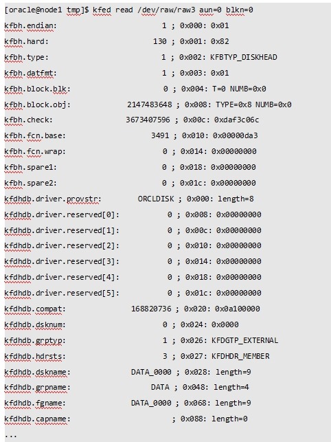 揭秘ASM磁盘头信息_ASM磁盘_20