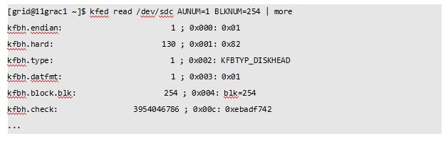 揭秘ASM磁盘头信息_ASM磁盘_31