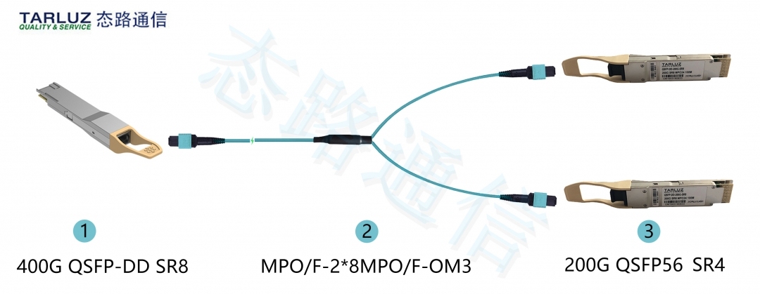 态路小课堂丨3种MPO/MTP光纤跳线介绍_光纤跳线_03