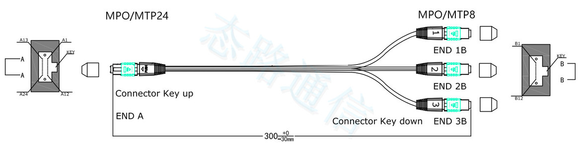 态路小课堂丨3种MPO/MTP光纤跳线介绍_MPO跳线_04