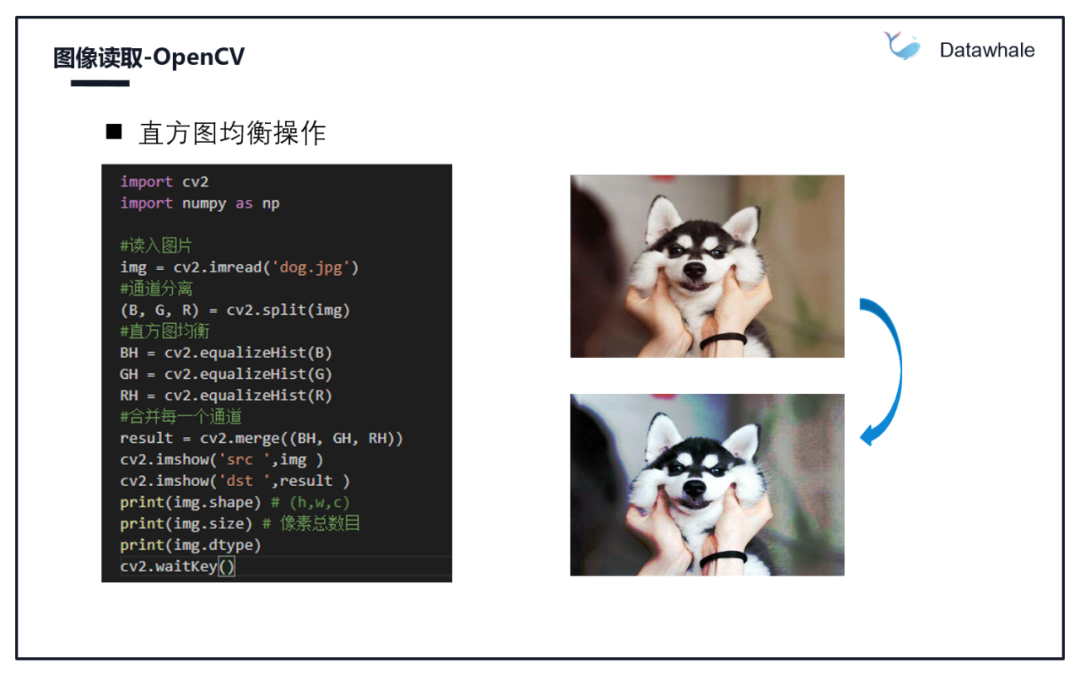 图像数据读取及数据扩增方法_java_05