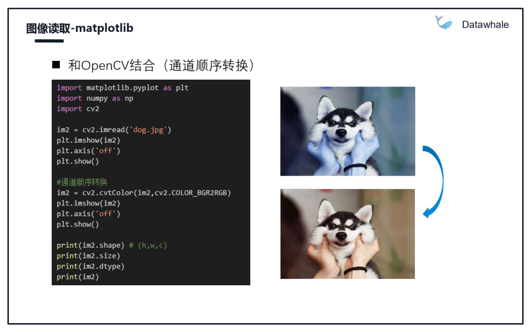 图像数据读取及数据扩增方法_java_06