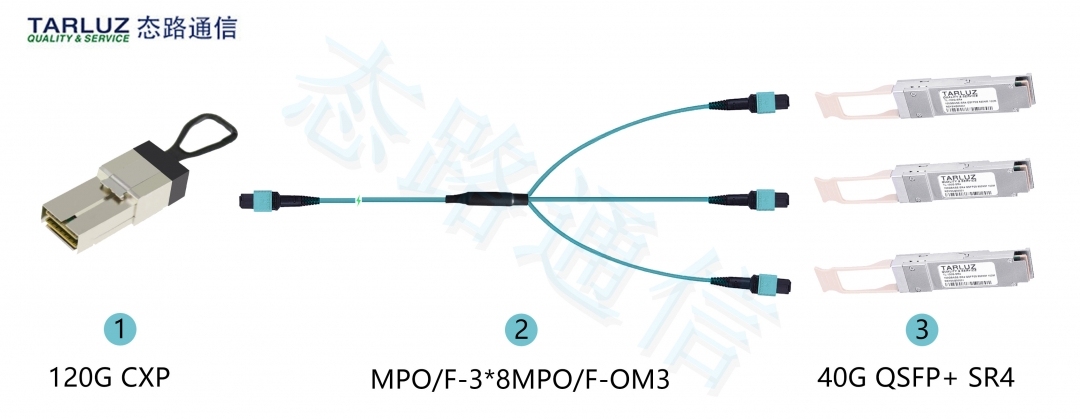 态路小课堂丨3种MPO/MTP光纤跳线介绍_综合布线_06