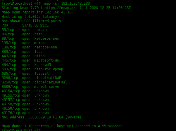 命令干货——nmap 命令常用实例_java_11