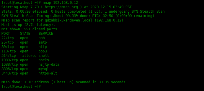 命令干货——nmap 命令常用实例_java_02