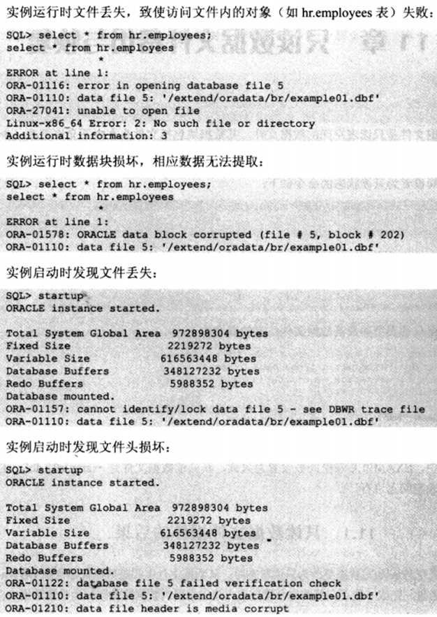 ORACLE 只读数据文件备份与恢复_ORACLE_02