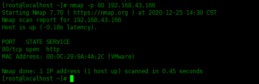 命令干货——nmap 命令常用实例_java_07