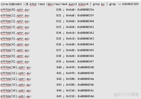 揭秘ASM磁盘头信息_ASM磁盘头_11