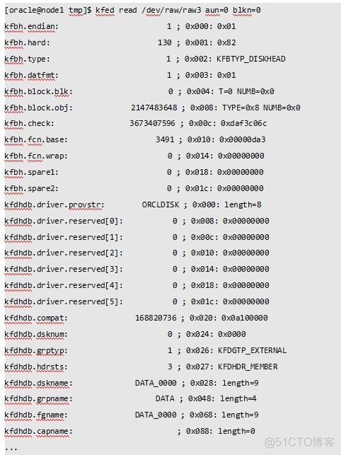 揭秘ASM磁盘头信息_ASM磁盘头_20