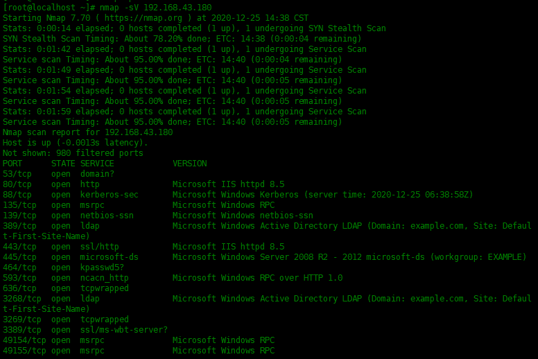 命令干货——nmap 命令常用实例_java_13