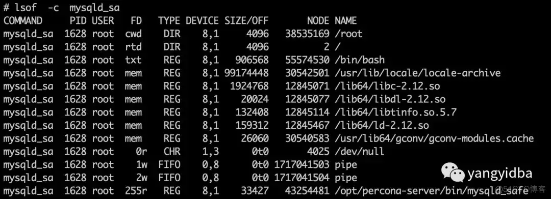 Linux命令--lsof_Linux命令