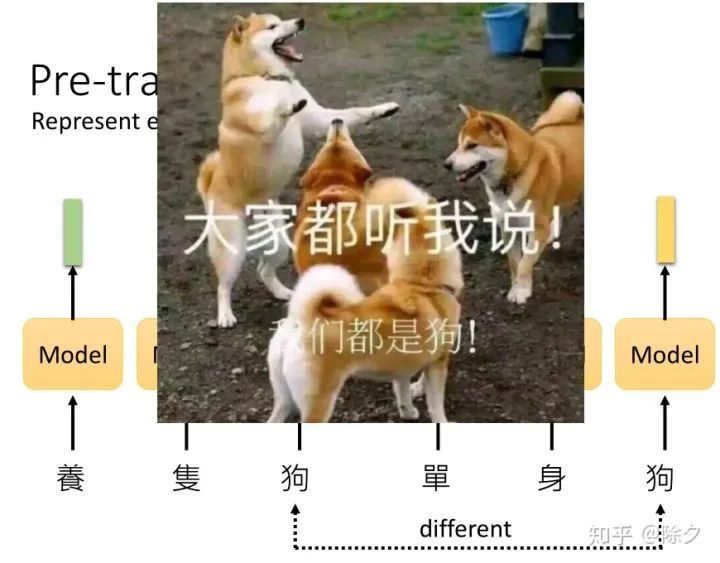 一文看尽预训练语言模型_java_05