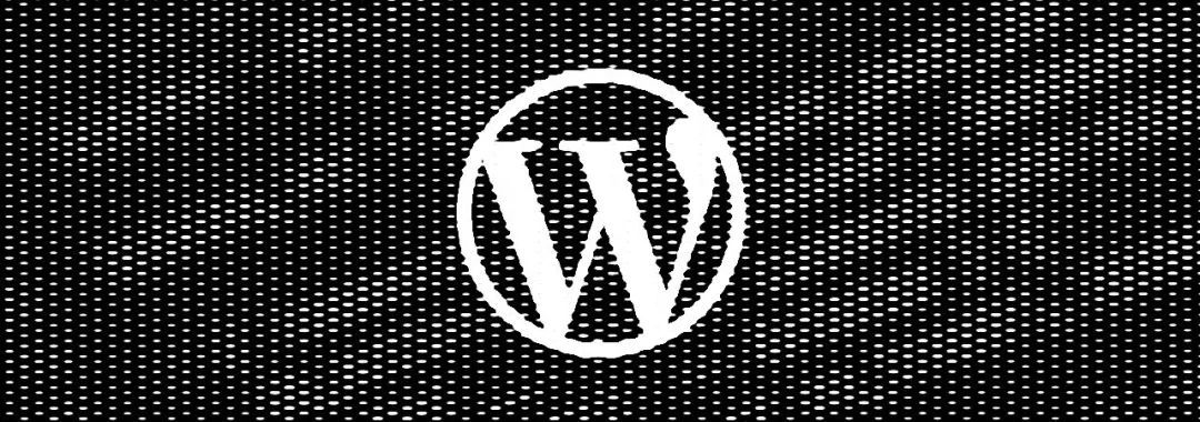 WordPress站点恶意JS注入漏洞分析_Python_02