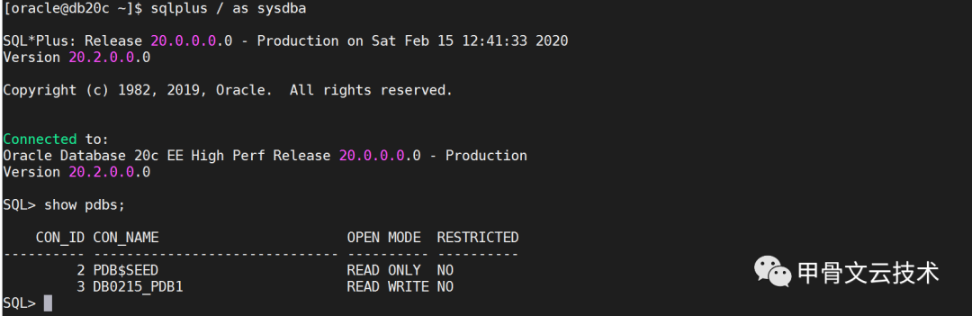 Oracle Database 20c：区块链表_Java_02