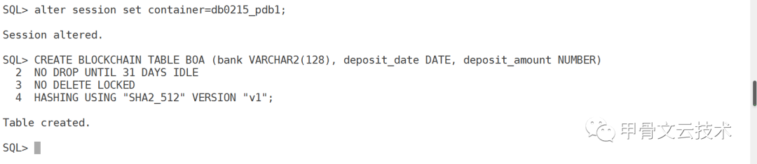 Oracle Database 20c：区块链表_Java_03