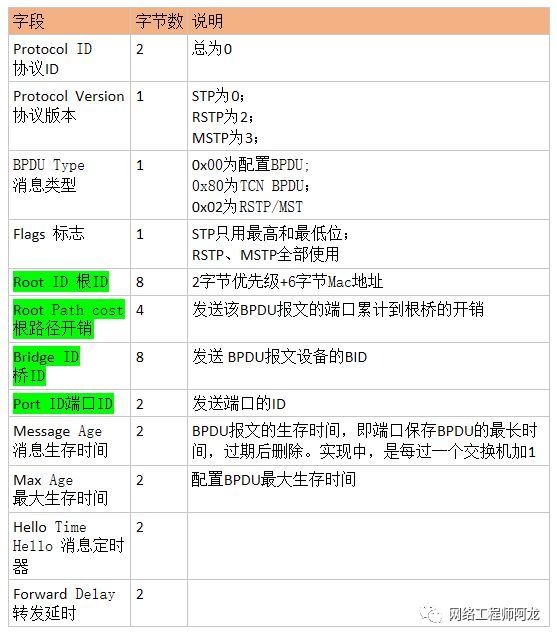 STP生成树的一些笔记。_java_07