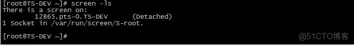 linux screen 命令详解_screen 命令_02