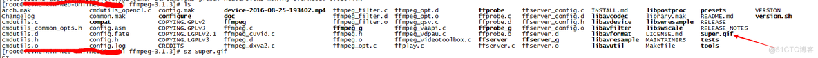 FFmpeg在Linux下搭建_Linux搭建_19