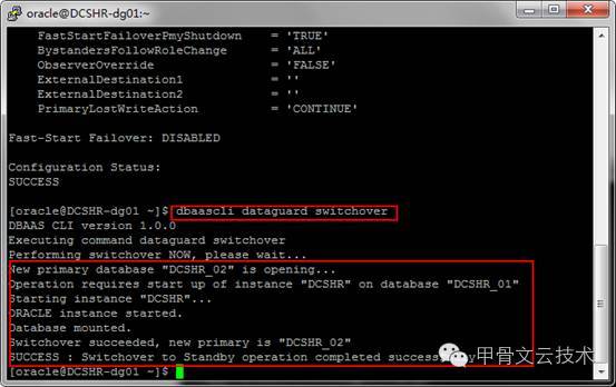 Oracle云端数据库主备快速切换_Java_12